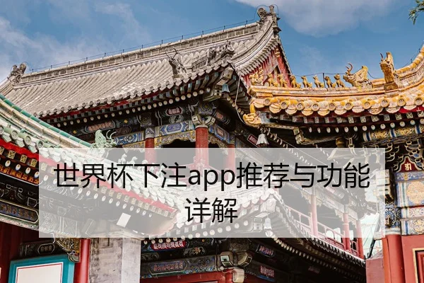 世界杯下注app推荐与功能详解